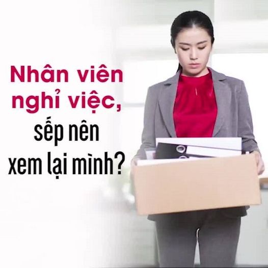 Nhân viên Content nghỉ việc